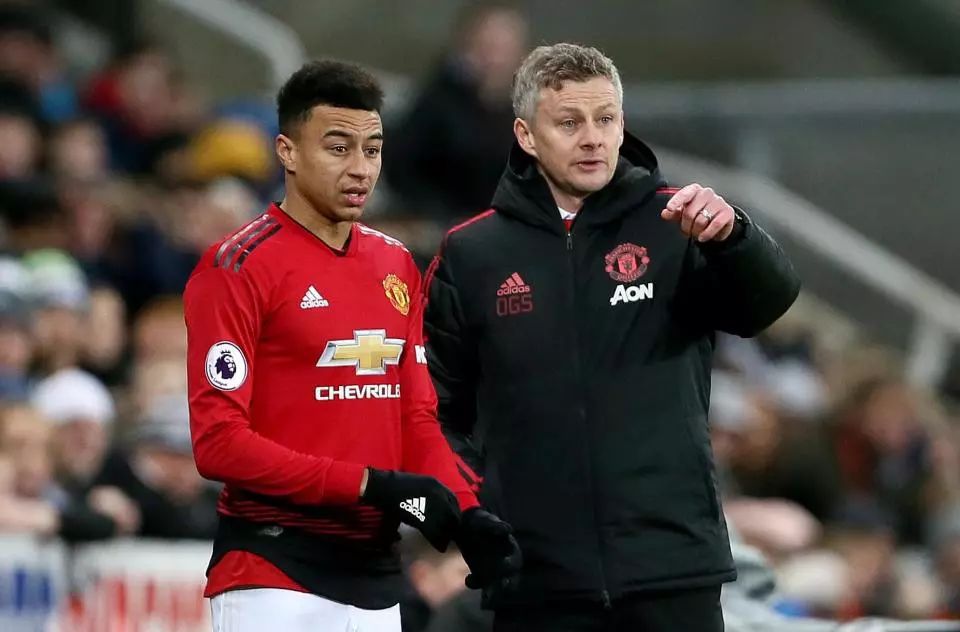 他与沈梓捷 他与沈梓捷